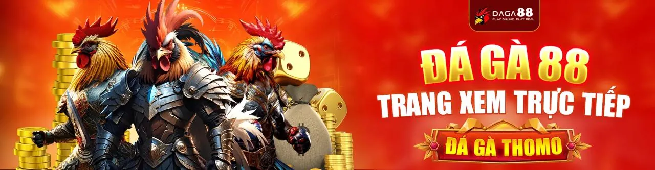 Hình ảnh một trường gà sôi động tại onebet chính thức